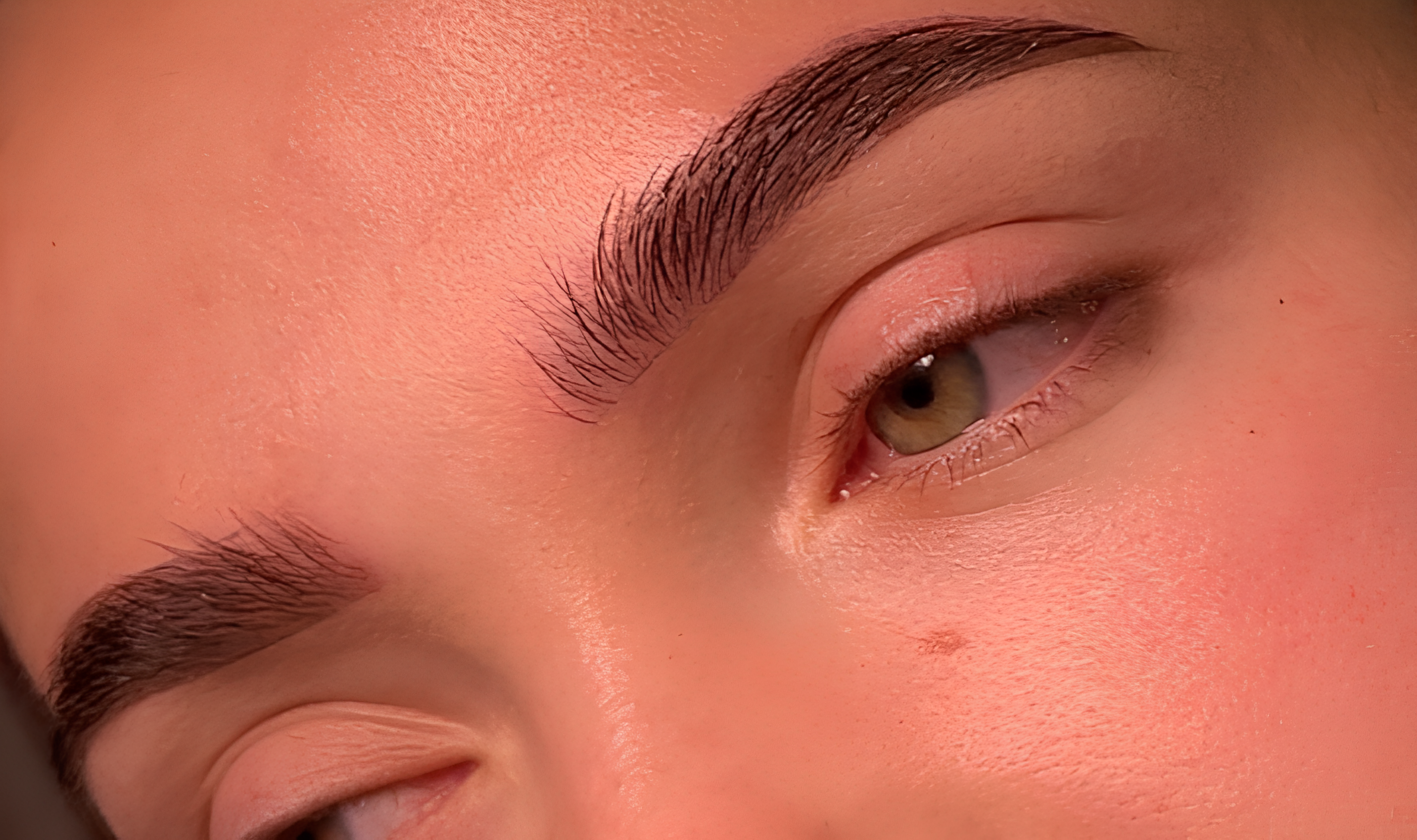 Powder Brows Ergebnis